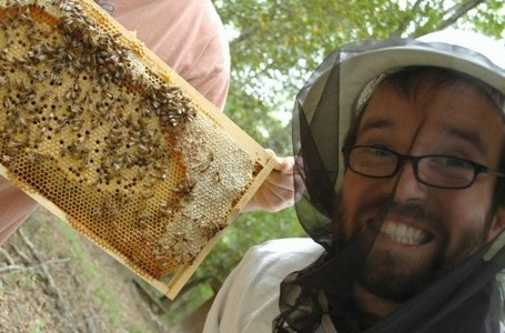 us bees
